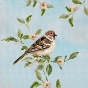 Perfect Perch I by Sally Swatland Oil Painting