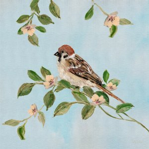Perfect Perch II by Sally Swatland Oil Painting