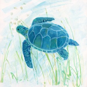 Reef Turtle II by Sally Swatland Oil Painting