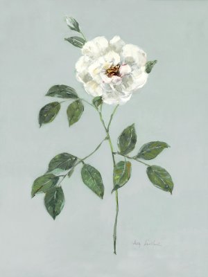 Rose Beauty I by Sally Swatland Oil Painting