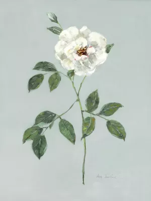 Rose Beauty I by Sally Swatland Oil Painting