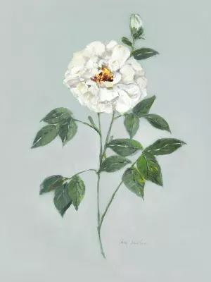 Rose Beauty II by Sally Swatland Oil Painting