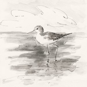 Sand Piper II by Sally Swatland Oil Painting