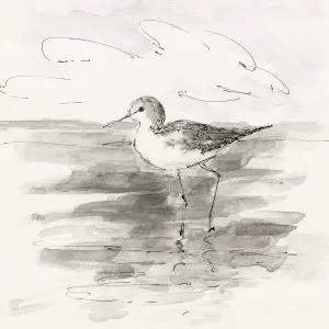 Sand Piper II by Sally Swatland Oil Painting