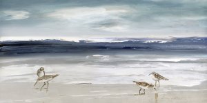 Sandpiper Bay by Sally Swatland Oil Painting