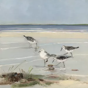 Sandpiper Cove II by Sally Swatland Oil Painting
