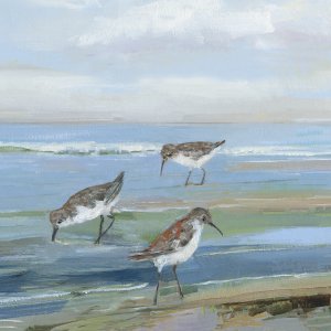 Seabird Beach I by Sally Swatland Oil Painting