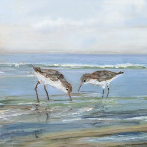 Seabird Beach II by Sally Swatland Oil Painting