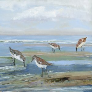 Seabird Beach III by Sally Swatland Oil Painting