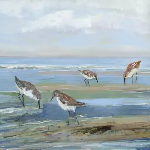 Seabird Beach III Oil Painting by Sally Swatland - Contemporary