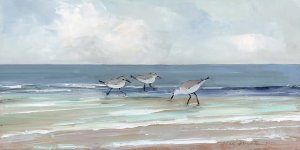 Shore Searching I by Sally Swatland Oil Painting