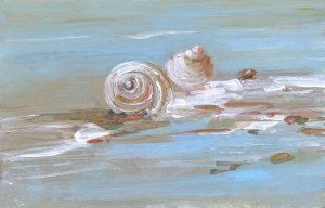 Shore Shell II by Sally Swatland Oil Painting