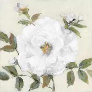 Simply Sweet I by Sally Swatland Oil Painting
