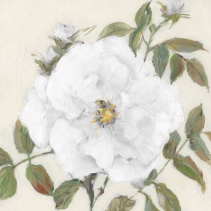 Simply Sweet II by Sally Swatland Oil Painting