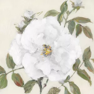 Simply Sweet II by Sally Swatland Oil Painting