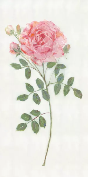 Single Stem II by Sally Swatland Oil Painting