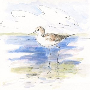 Sketchy Shore Birds II by Sally Swatland Oil Painting