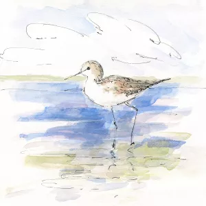 Sketchy Shore Birds II by Sally Swatland Oil Painting