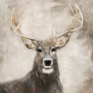 Soft Buck by Sally Swatland Oil Painting