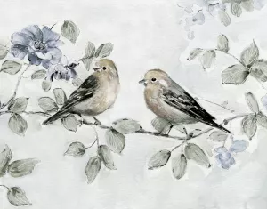 Soft Finch Summer by Sally Swatland Oil Painting