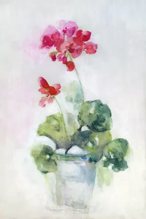 Soft Geranium I by Sally Swatland Oil Painting