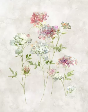 Soft Lace I by Sally Swatland Oil Painting