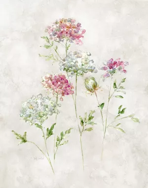 Soft Lace II by Sally Swatland Oil Painting