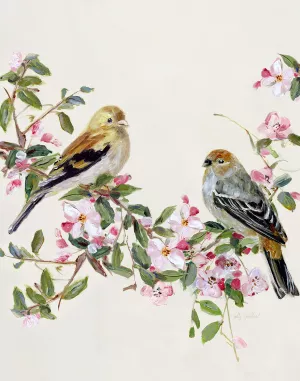 Songbird Duo II by Sally Swatland Oil Painting