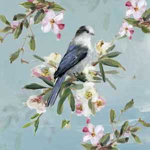 Spring Song and Blossoms I by Sally Swatland Oil Painting