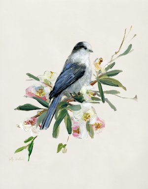 Spring Song Gray Jay by Sally Swatland Oil Painting