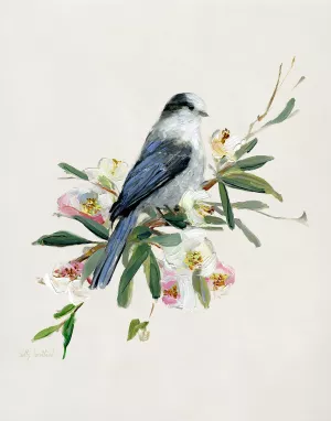 Spring Song Gray Jay by Sally Swatland Oil Painting