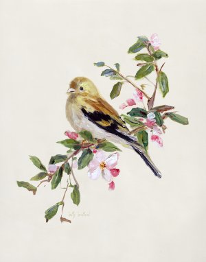 Spring Song Pine Grosbeak by Sally Swatland Oil Painting
