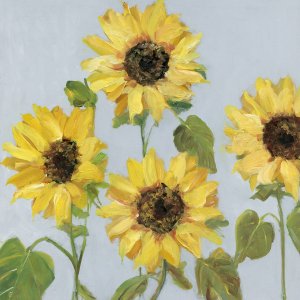 Sunflower Array II by Sally Swatland Oil Painting