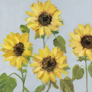 Sunflower Array II by Sally Swatland Oil Painting