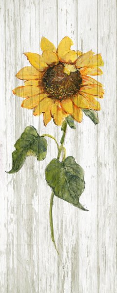 Sunflower in Autumn II by Sally Swatland Oil Painting