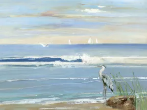 Sunrise Bay by Sally Swatland Oil Painting
