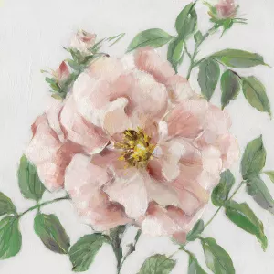 The Sweetest II by Sally Swatland Oil Painting
