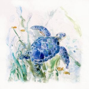 Turtle Cove I by Sally Swatland Oil Painting