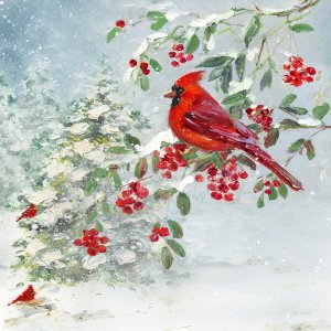 Twilight Winter Cardinal by Sally Swatland Oil Painting