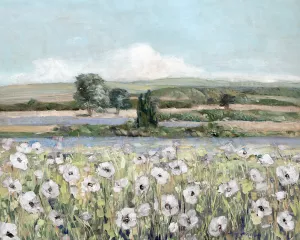 Vintage Poppy Valley by Sally Swatland Oil Painting