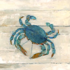 Wake Up Crabby II by Sally Swatland Oil Painting