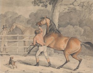 Trying the Mare by Samuel Alken Oil Painting