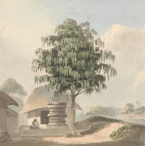 Holy Man Seated Near Plinth Under a Tree by Samuel Davis Oil Painting