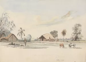 Sirree by Samuel Davis Oil Painting