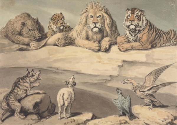 Main Product Photo of A Boar, a Leopard, a Lion, a Tiger, a Wolf, a Ram, and Two Eagles Painting by Samuel Howitt