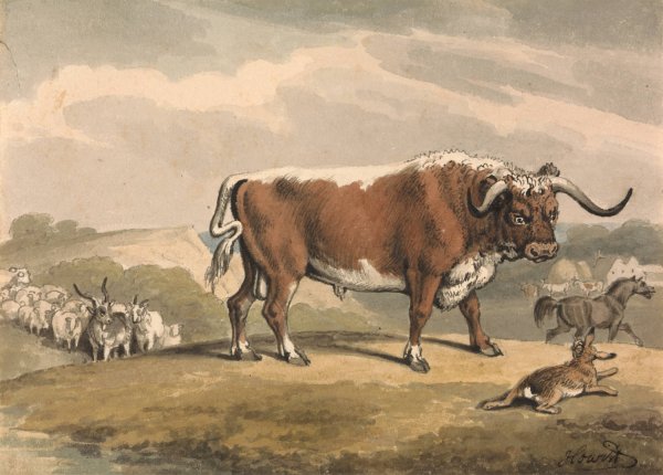 Main Product Photo of A Bull and a Rabbit Painting by Samuel Howitt