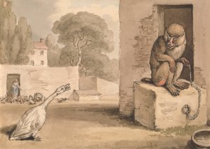 A Goose and a Baboon by Samuel Howitt Oil Painting