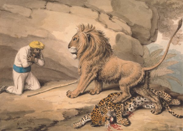 A Lion Standing over a Wounded Leapard by Samuel Howitt - Hand-Painted Oil Painting Reproduction