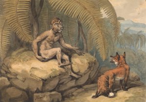 A Monkey and a Fox by Samuel Howitt Oil Painting