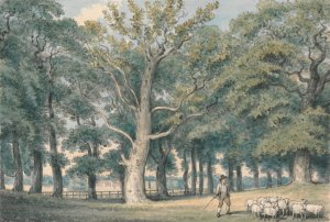A Park Landscape with Shepherd and Sheep by Samuel Howitt Oil Painting